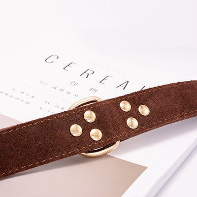 Collar para Perro - Image 4
