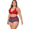 Bikini Dividido de Dos Piezas