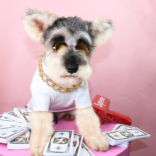 Collar de Cuentas para Mascotas - Joyería Elegante