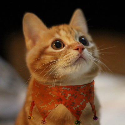 Accesorios de Joyería Ajustable para Perros y Gatos