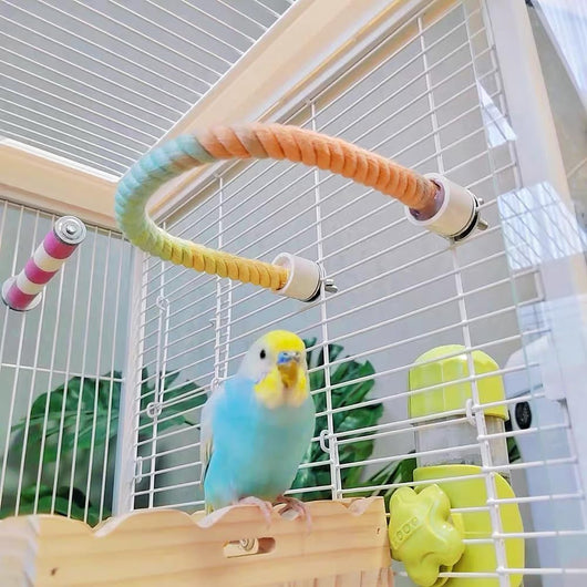 Bright green 150cm spiral rope bird perch with a metal clip, designed for climbing and perching in bird cages. - Image 11