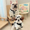 Suéter Térmico para Perros Pequeños - Abrigo Otoño Invierno