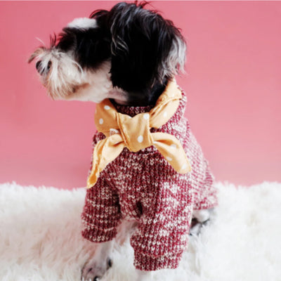 Pañuelo Térmico para Perros Pequeños - Abrigo Elegante para Invierno - Image 20