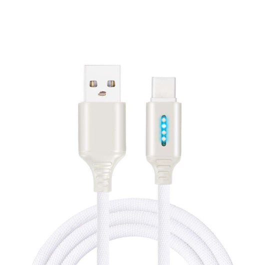 Cable de Carga Rápida con Tejido Resistente - Image 24