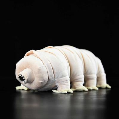 Muñeco Dinosaurio Adorable con Peluches Suaves - Image 10