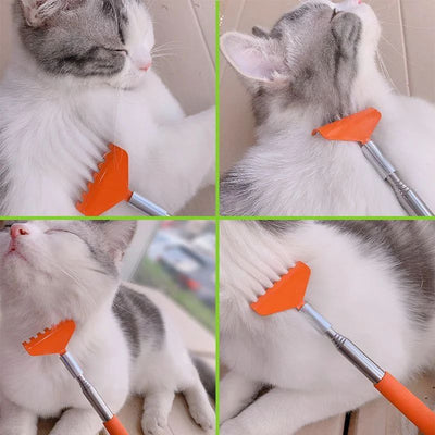 Juguete Interactivo para Gatos con Cepillo Masajeador y Rascador - Image 3