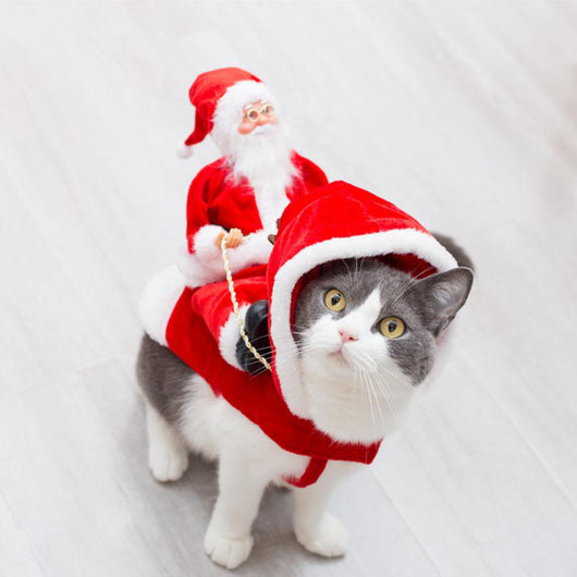 Disfraz Navideño Elfo Verde para Mascotas - Ropa Festiva para Perros - Image 2