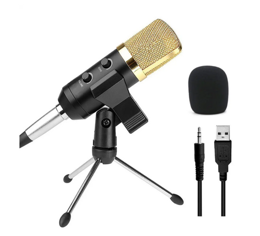 Micrófono Condensador BM800 Profesional