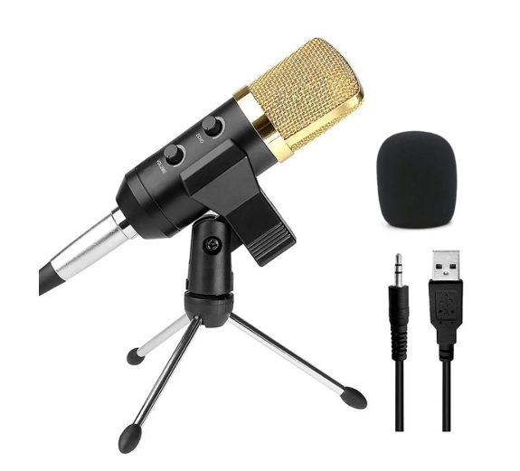 Micrófono Condensador BM800 Profesional