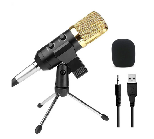 Micrófono Condensador BM800 Profesional