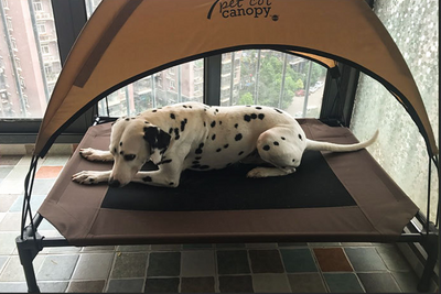 Cama Ortopédica para Perros Impermeable y Desmontable - Image 6