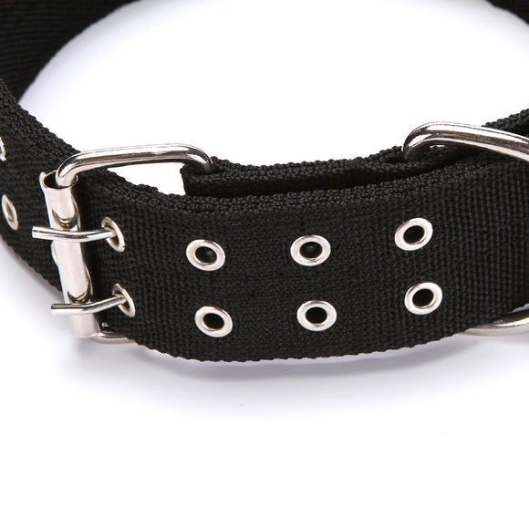 Collar para Perro
