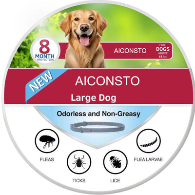 AICONSTO small dog insect repellent collar, gray, offering 8-month protection against fleas, ticks, lice, and flea larvae.