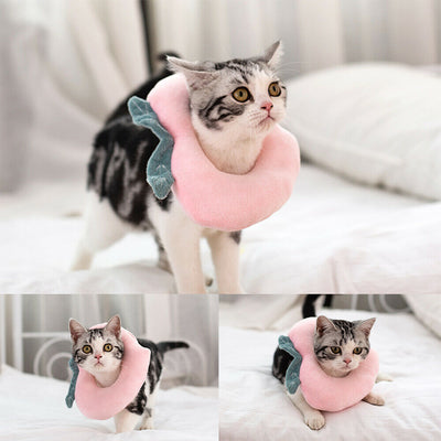 Collar Isabelino Suave Ajustable para Gatos y Perros - Recuperación Postquirúrgica - Image 9