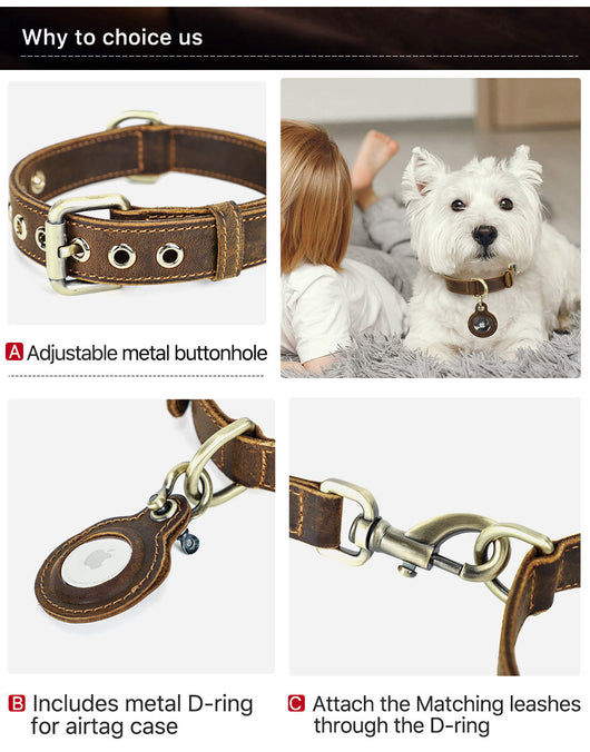 Collar Doble Cara de Cuero Genuino para Perro - Arnés Ajustable Antimotín - Image 16
