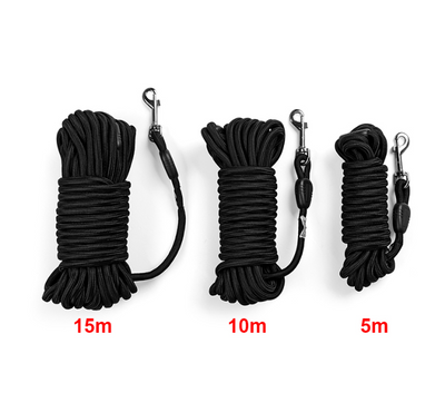 Correa de Adiestramiento Nylon Resistente Extra Larga - Image 4