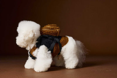 Chaleco de Terciopelo Acolchado Schnauzer Bichon sin Mangas - Image 11