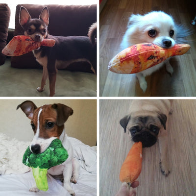 Juguete Mordedor para Perros Vegetales Crujientes con Sonido Chillón - Image 6