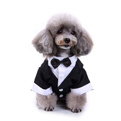 Conjunto de Ropa para Perros - Traje Completo de Moda - Image 39