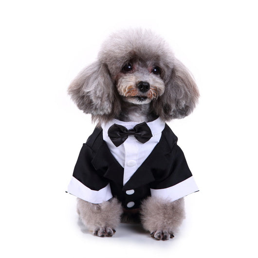 Conjunto de Ropa para Perros - Traje Completo de Moda - Image 39