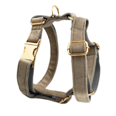 Collar Velvet para Mascota con Cuerda de Tracción - Image 18
