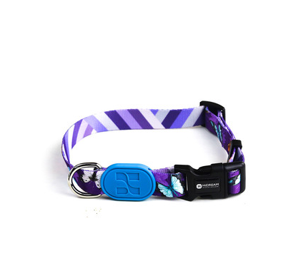 Collar de Perro Colorido - Image 4