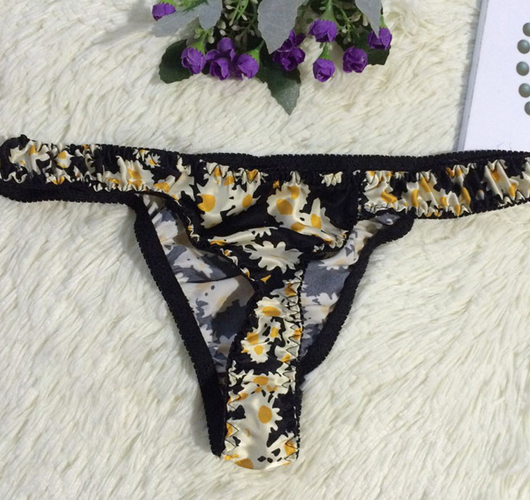 Tanga de Seda Ultrafina - Comodidad Absoluta - Image 3