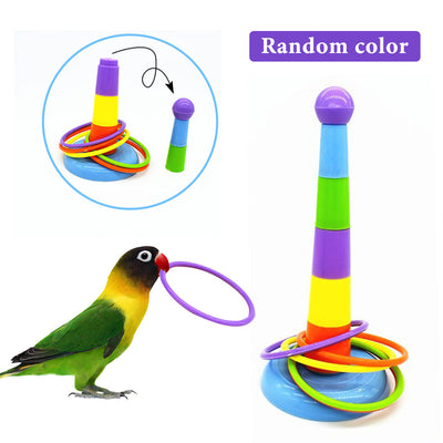 Colorful plastic bird ring toss toy with a stackable post and multiple rings, demonstrated by a lovebird. - Image 9