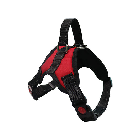 Productos Premium de Aseo para Perros Raza Satsuma