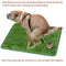 Tapete Sanitario de Pasto Artificial para Perros y Gatos - Entrenamiento Lavable y Reutilizable