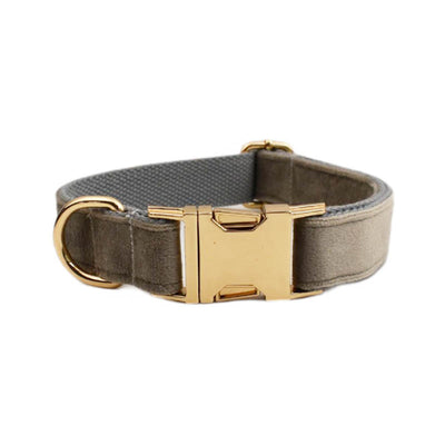Collar Velvet para Mascota con Cuerda de Tracción - Image 14