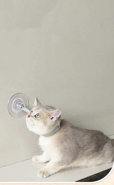 Light gray pet collar with a clear suction cup, designed to secure cats or puppies during bathing or grooming. - Image 11