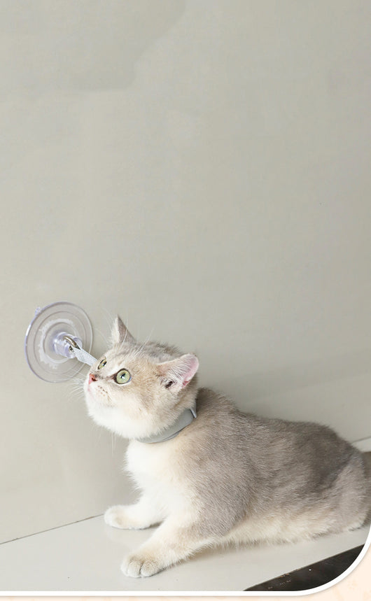 Light gray pet collar with a clear suction cup, designed to secure cats or puppies during bathing or grooming. - Image 11