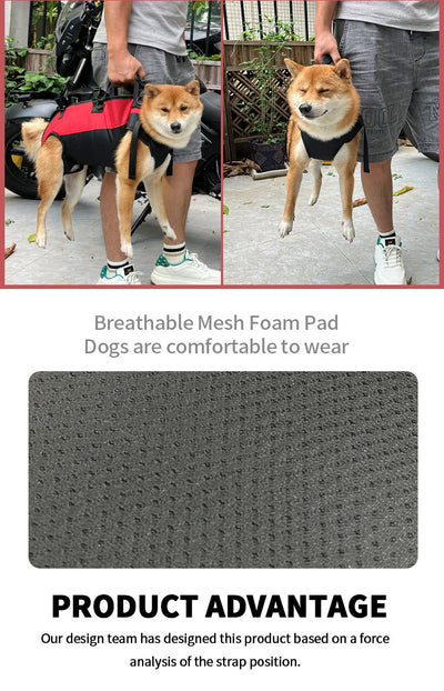 Mochila Transportadora Aérea para Mascotas - Paseos y Aventuras - Image 25
