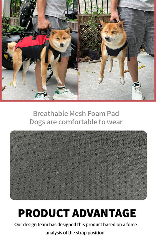 Mochila Transportadora Aérea para Mascotas - Paseos y Aventuras - Image 25
