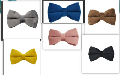 Collar de Terciopelo para Perro - Suave y Elegante - Image 20