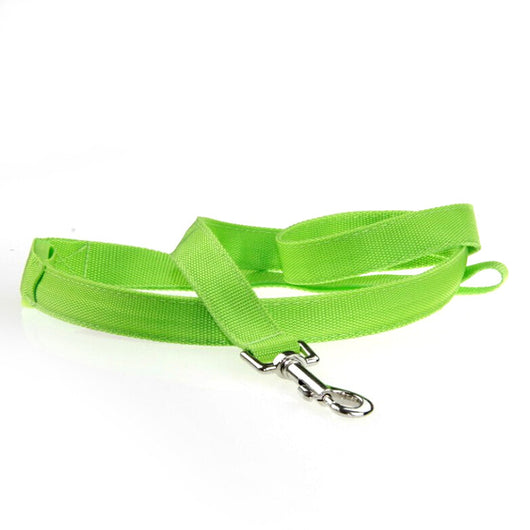 Correa LED Luminosa para Perros - Paseos Seguros de Noche - Image 12