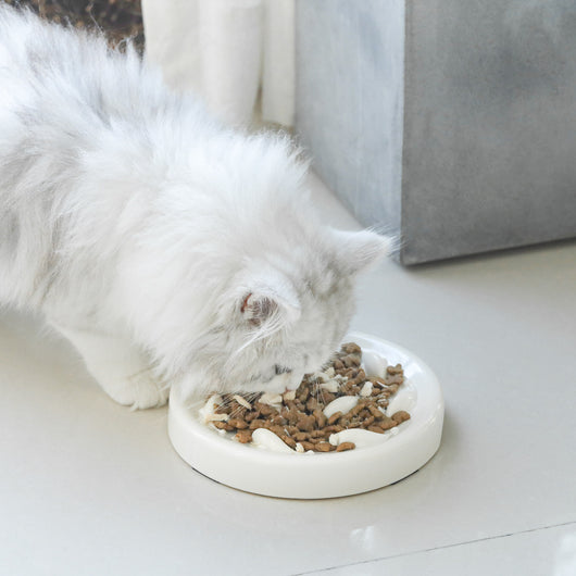 Comedero Lento Antiestrés para Perros y Gatos - Image 21