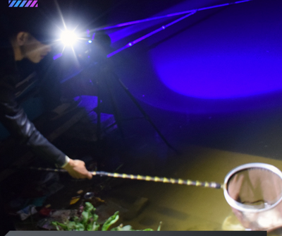 Linterna de Camping LED Potente Multifuncional - Image 11