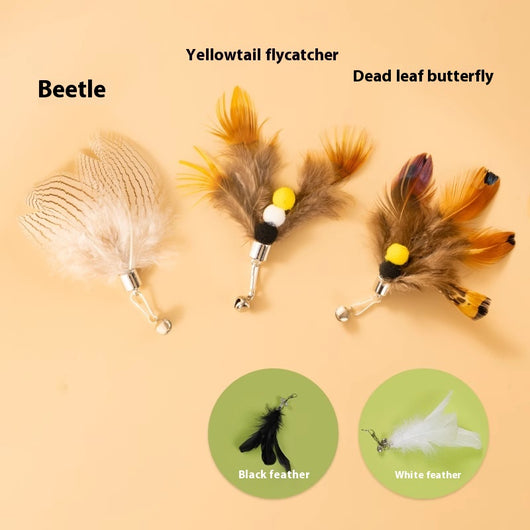 Three distinct feather cat toy replacement heads: a light 'Beetle', a brown and yellow 'Yellowtail flycatcher' with pom-poms, and a multi-colored 'Dead leaf but