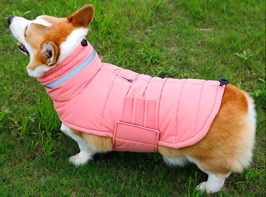 Abrigo Impermeable para Perros Grandes - Trinchera Térmica Corgi y Razas Medianas - Image 13
