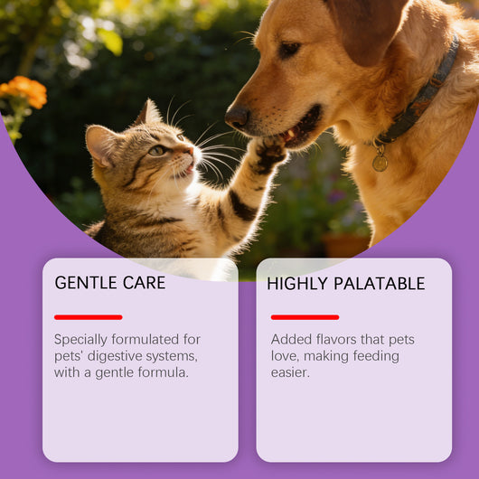Polvo Probiótico para la Salud Digestiva de Mascotas - Image 3