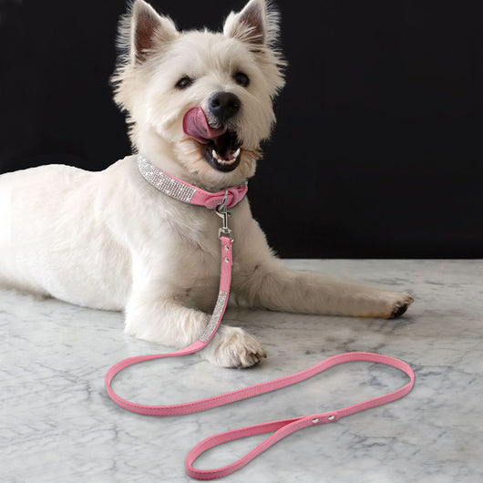 Collar para Perro Estilo Hot Dog - Image 3