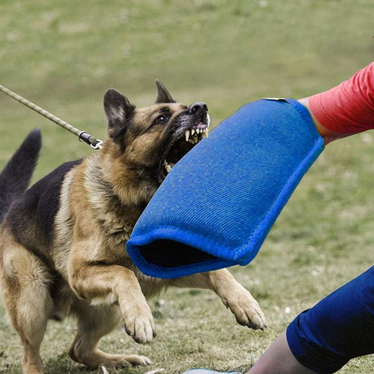 Mangas de Entrenamiento Canino Resistentes al Desgarre con Protección Total - Image 7