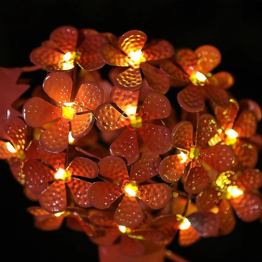 Luces Solares LED para Jardín - Decoración Exterior Automática - Image 4