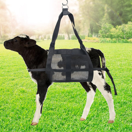 Báscula Colgante para Animales - Bolsa Pesadora para Ganado y Mascotas - Image 10