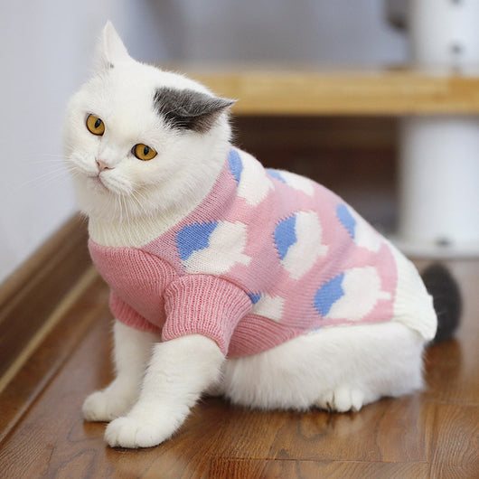 Suéter Gato Azul Británico para Otoño e Invierno - Image 21