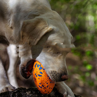 Golden retriever dog swimming in water, holding a white, textured, rugby-shaped pet chewing toy with pink and blue dots. - Image 8