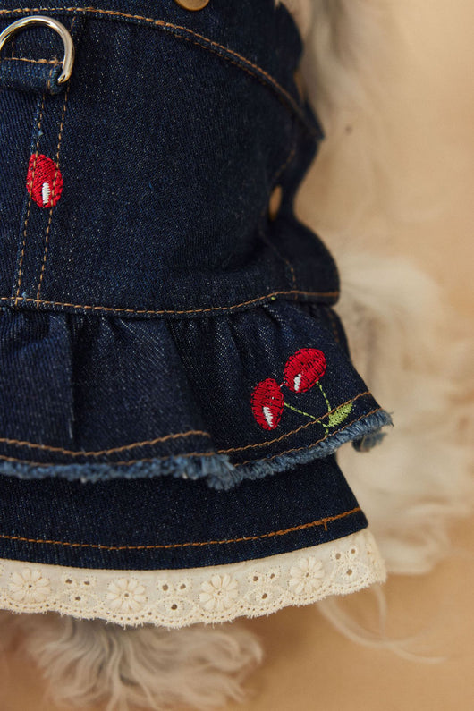 Vestido Denim de Cereza para Perras - Ropa de Primavera y Verano - Image 19