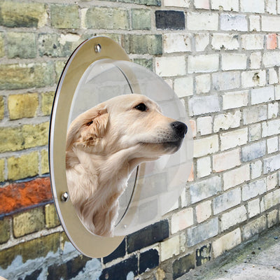 Ventana de Acrílico Transparente para Mascotas Pequeñas